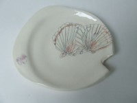 http://www.francesleeceramics.com/files/gimgs/th-42_small shell plate-web.jpg